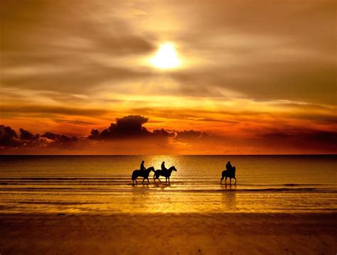 Beach Horse Riding Wallpaper | Free HD Sunset Image