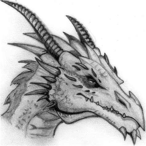 Dragon Pencil Sketch at PaintingValley.com | Explore collection of ...