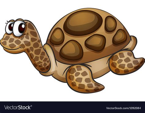 Tortoise Royalty Free Vector Image - VectorStock