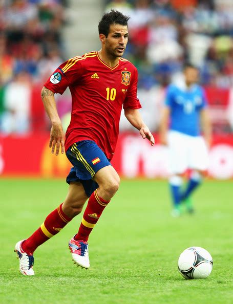 euro 2012: Spain-Italy - Cesc Fabregas Photo (31168346) - Fanpop