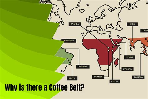 What Is The Coffee Belt And Where Is It Located?