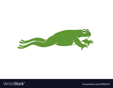 Frog jumping Royalty Free Vector Image - VectorStock