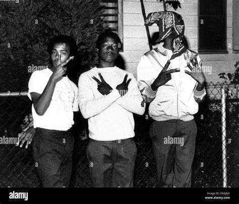 Los Angeles street gang, "Crips" members, display their signs for the photographer early in 1988 ...