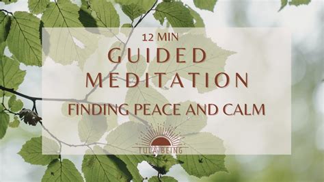 Guided Meditation I Finding Peace and Calm I 12 Minute Practice - YouTube