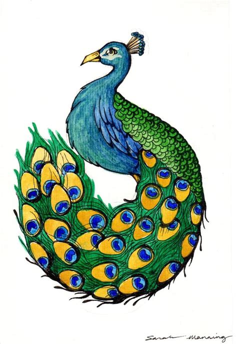 Peacock Drawing | 3D Drawing