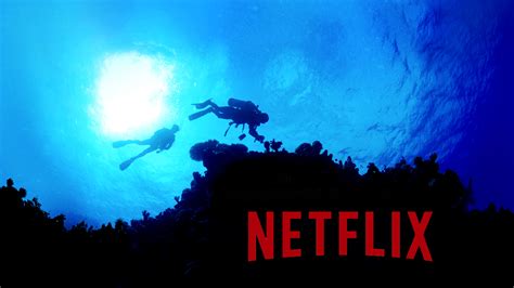 5 of the Best Must-Watch Ocean Documentaries on Netflix