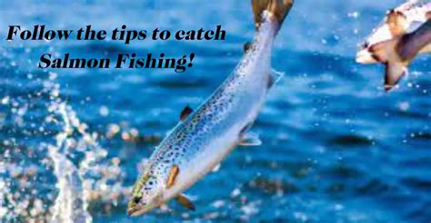 Salmon Fishing- A Guide detailing Plunking & Float Fishing