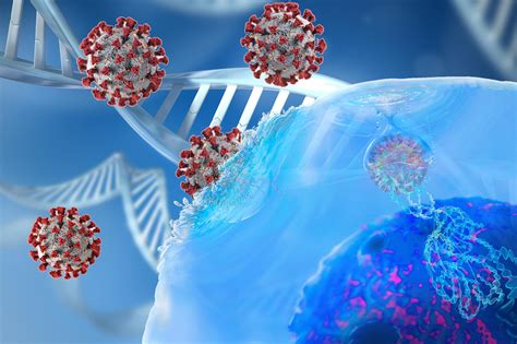 Severity of COVID-19 May Depend on Your Individual Genetic Variation in Immune System