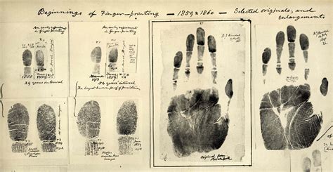 Fascinating Ancient History Of Fingerprints | MessageToEagle.com