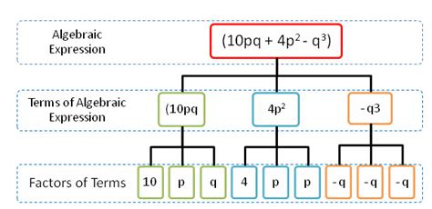 Tree diagram represent terms and factors of an algebraic expression at Algebra Den