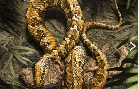 Snakes With Legs Bible 10 Things You May Have Missed In The Book Of Genesis - cubandancing