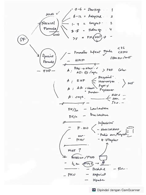 Susu Formula | PDF