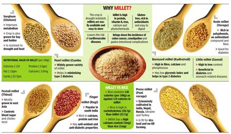 Millet Recipes Health Benefits at James Liu blog