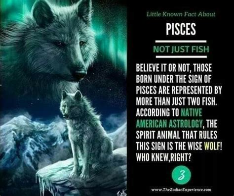 What is a Pisces spirit animal? – ouestny.com