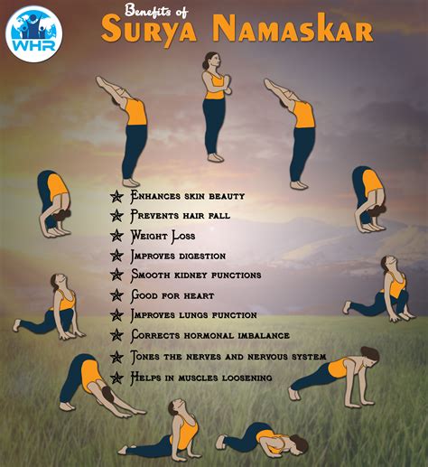 Surya Namaskar Poses X Ray - yoga for strength and health from within