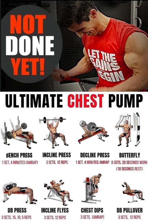 5 Day Chest Workout Gym Exercises for Gym | Fitness and Workout ABS ...