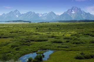 Moose in the Meadow | A lonely moose looking for breakfast. | Charles (Scott) Barnhill | Flickr