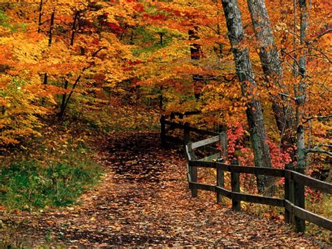 Autumn Scenes New England | Beautiful Scenery Photography