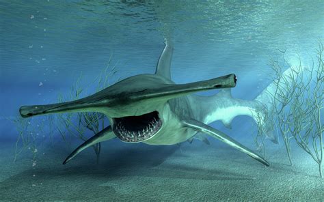 Hammerhead Shark Attack Digital Art by Daniel Eskridge - Pixels