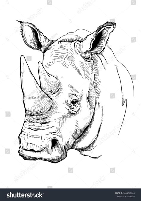 5,415 Rhino Sketch Images, Stock Photos & Vectors | Shutterstock