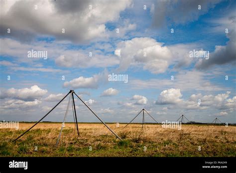 The LOFAR radio telescope Stock Photo - Alamy