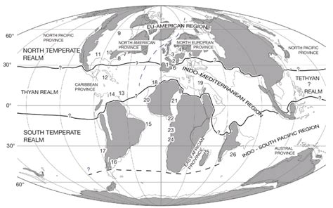 -The Earth during the Maastrichtian times with the main selachian sites... | Download Scientific ...