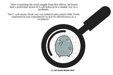 The E-coli Strain 'Nissle 1917' (Mutaflor) A Powerful Probiotic