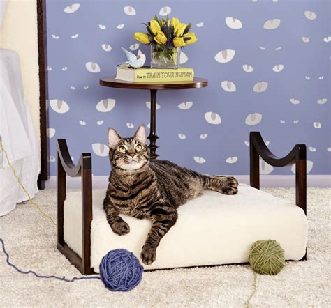 Cat Beds: For Charity - Stellar Interior Design