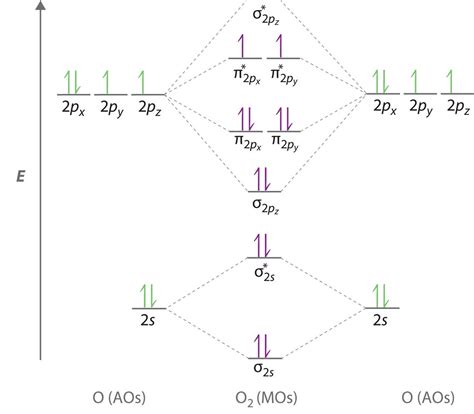 9.10: Molecular Orbital Theory Predicts that Molecular Oxygen is Paramagnetic - Chemistry LibreTexts