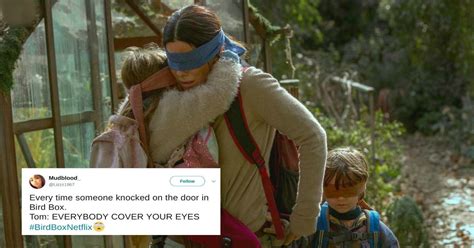 Bird Box memes: 19 hilarious Twitter reactions and memes.