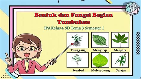 Soal Sistem Gerak Tumbuhan Kelas 8 Doc – Beinyu.com