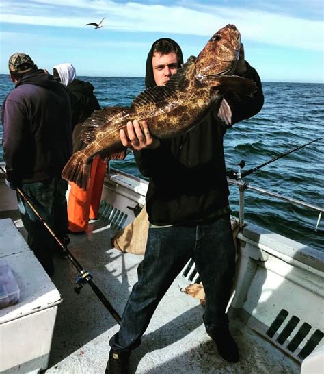 26lb Ling Cod; fishing out of Monterey : r/Fishing