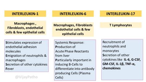 Chemical Mediators of Inflammation: CYTOKINES : Interleukins & Chemokines - Pathology Made Simple