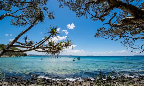 The Best Accommodation Options in Noosa — The Latch