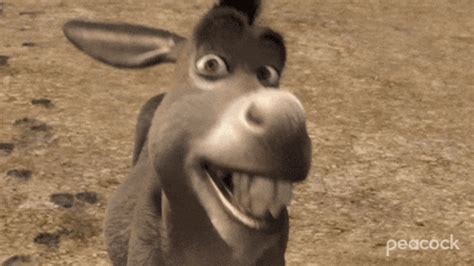 Shrek Smile GIF by PeacockTV - Find & Share on GIPHY