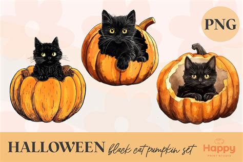 Black Cat Pumpkin Set Halloween PNG Graphic by Happy Print Studio ...