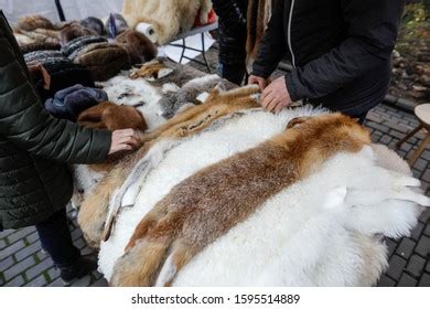 95,011 Animal Fur Clothes Images, Stock Photos & Vectors | Shutterstock