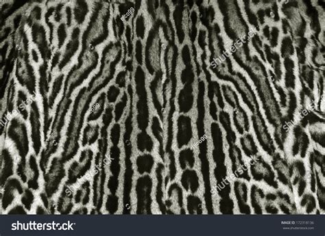 King Cheetah Skin Pattern Stock Photo 172318136 : Shutterstock