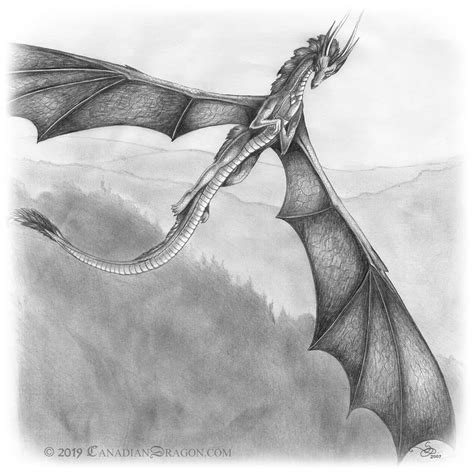 Flying Dragon Drawings In Pencil