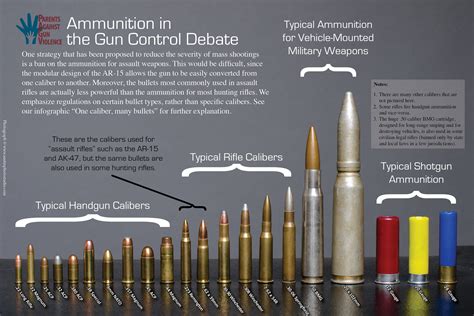 Basic Bullet EXPLAINED: Sizes, Calibers, and Types - {MUST READ}