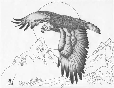 Simple Flying Eagle Drawing