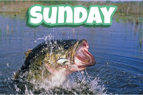 2023 Big Bass Splash on Lake Sam Rayburn - Sunday Standings