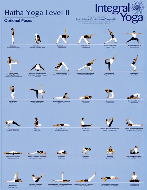 Hatha Yoga Poses Beginners - Work Out Picture Media - Work Out Picture Media