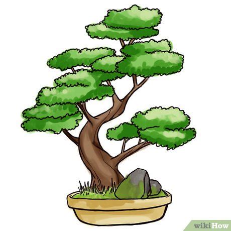 How to Draw a Bonsai Tree: 8 Steps (with Pictures) - wikiHow