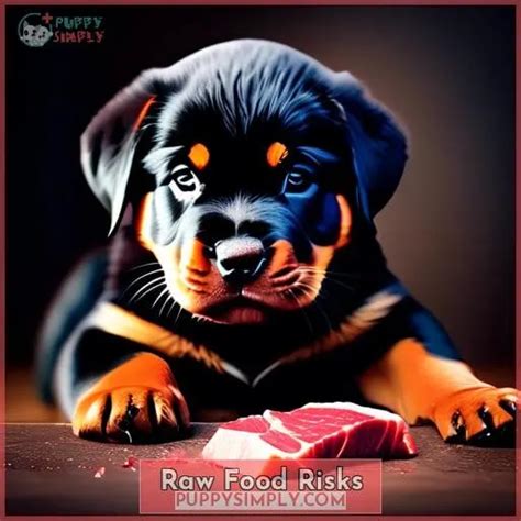 Rottweiler Raw Diet Guide: Benefits, Risks, Recipes for Your Dog's Health