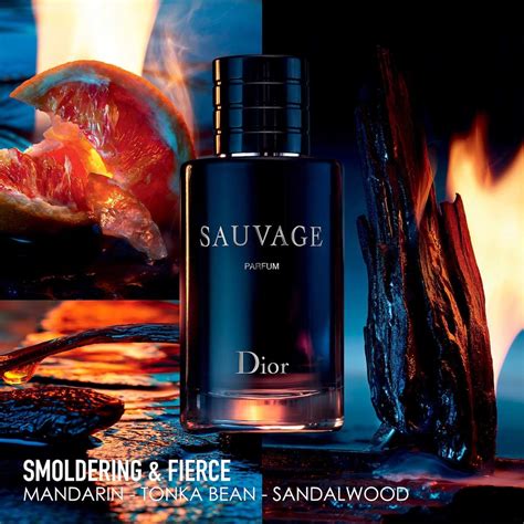 Nước hoa nam Dior Sauvage Parfum | namperfume