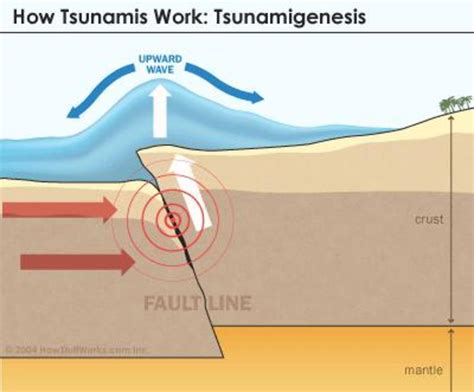 What Causes a Tsunami? - Owlcation