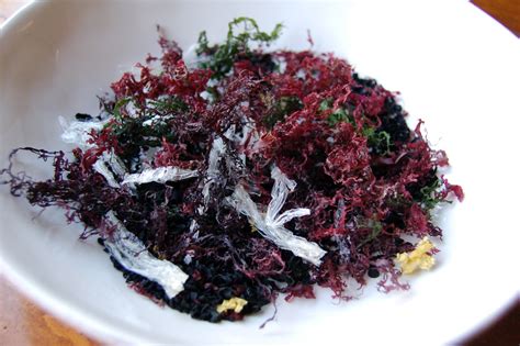 Kettler Cuisine: Seaweed Salad