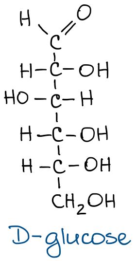 L Glucose Fischer Projection