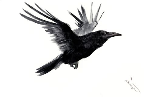 Raven In Flight Drawing | Free download on ClipArtMag